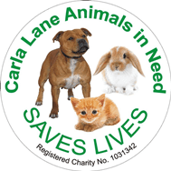Carla Lane Animals In Need