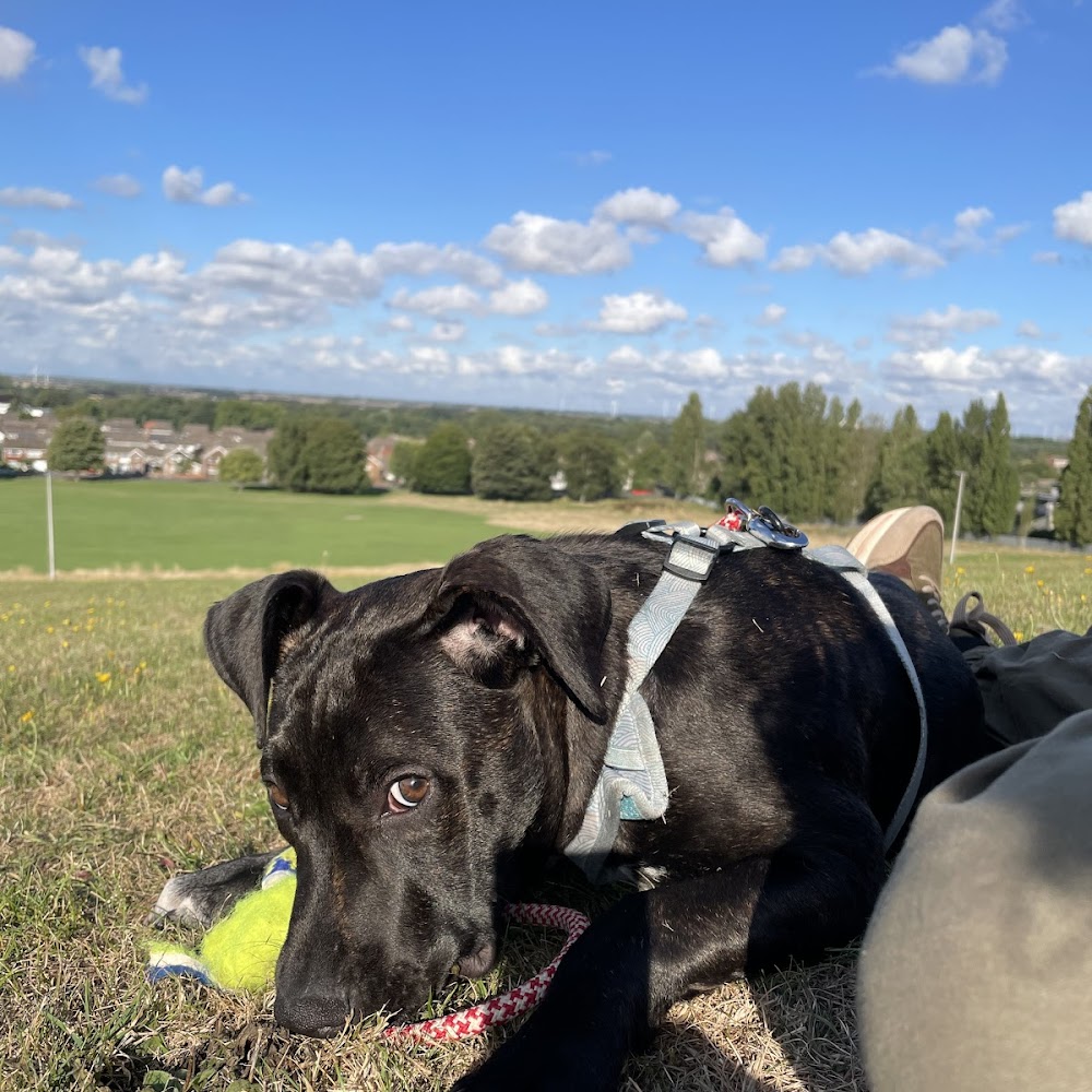 RSPCA Leeds and Wakefield