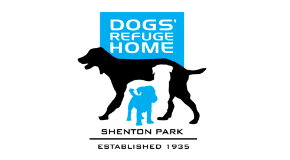 Dogs Refuge Home