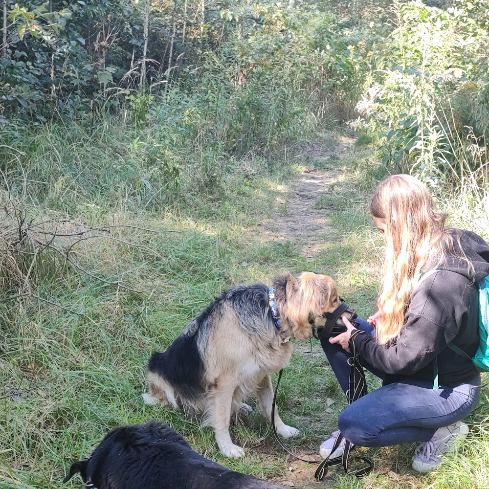 Miejskie Schronisko dla Bezdomnych Zwierząt w Katowicach